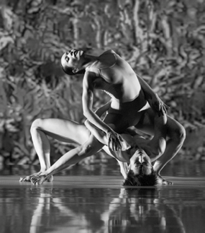 cloud_gate_dance_theatre_of_taiwan.png